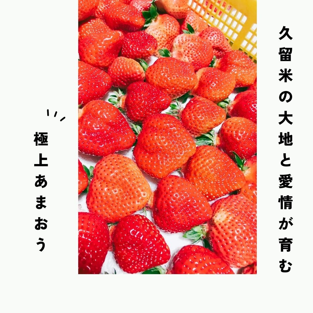 ✨🍓いちご農家の魅力、ここにあります！🍓✨